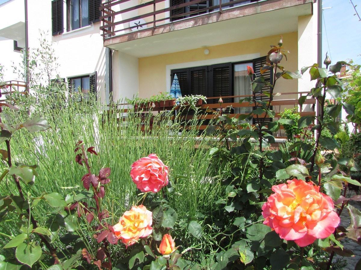 Mirela House With Apartment 乌马格 外观 照片